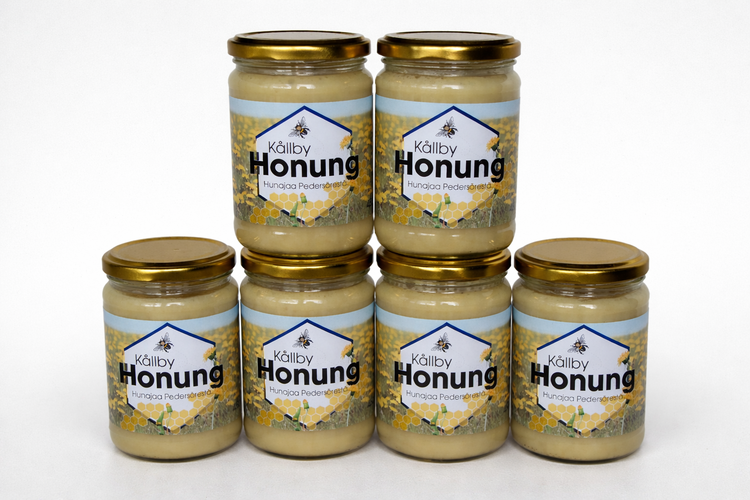 6 kpl Hunajapurkkeja 450g