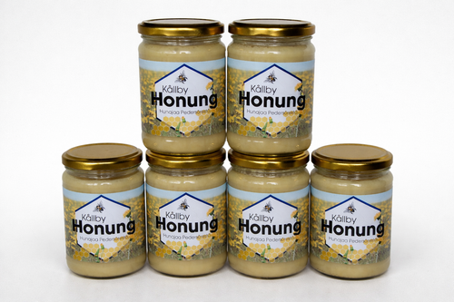 6 kpl Hunajapurkkeja 450g