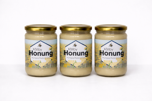 3 kpl Hunajapurkkeja 450g